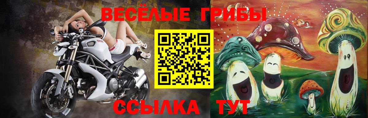 Псилоцибиновые грибы мухоморы  Галлюциногенные грибы мицелий  Новотроицк  Вход с VPN 
